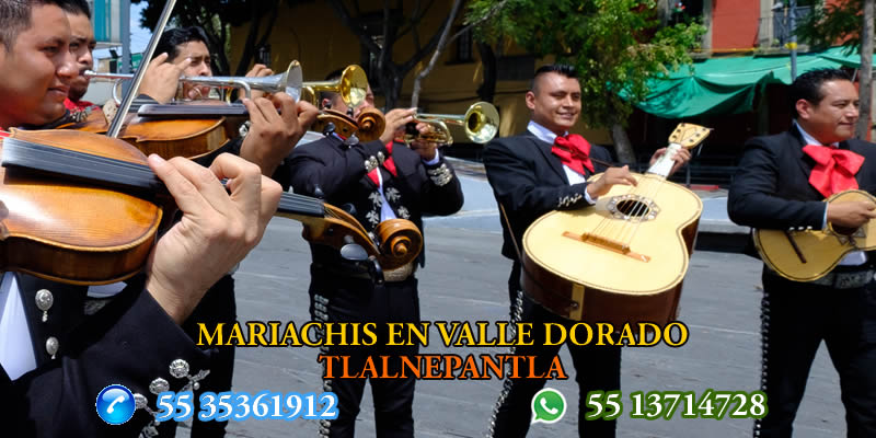 Mariachis en Valle Dorado